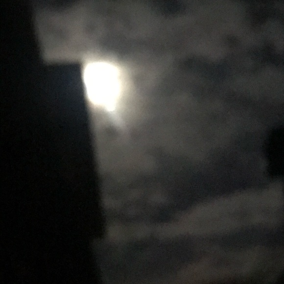 Meet your Posher, Harry - Picture 2 of 12